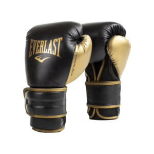 Everlast Powerlock 2 Training Glove